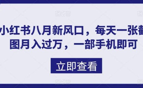 八月新风口,小红书虚拟项目一天收入1000+,实战揭秘