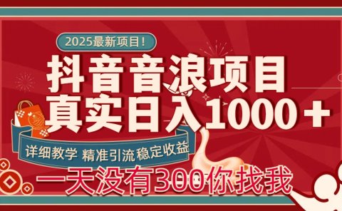每天稳定1000+抖音音浪项目稳定收益可当主业和副业