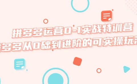 拼多多运营0-1实战特训营，拼多多从0础到进阶的可实操玩法