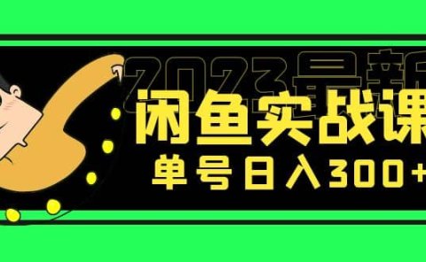 花599买的闲鱼项目:2023最新闲鱼实战课(7节课)