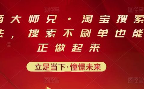 电商大师兄·淘宝搜索新玩法，搜索不刷单也能真正做起来