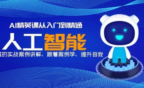 AI精英课从入门到精通,丰富的实战案例讲解,跟着案例学,提升自我