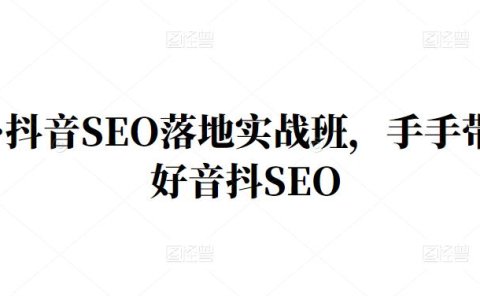 王通·抖音SEO落地实战班,手手带你做好音抖SEO