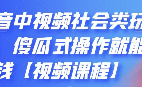 抖音中视频社会类玩法，傻瓜式操作就能赚钱【视频课程】