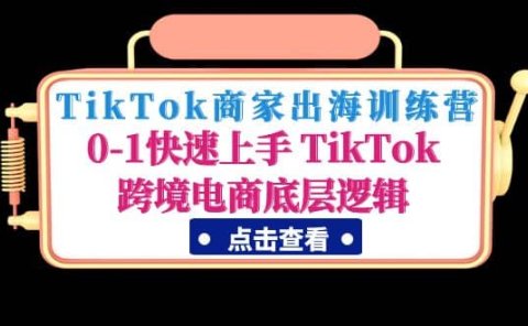 TikTok商家出海训练营：0-1快速上手 TikTok跨境电商底层逻辑(无水印)