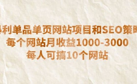 暴利单品单页网站项目和SEO策略 每个网站月收益1000-3000 每人可搞10个