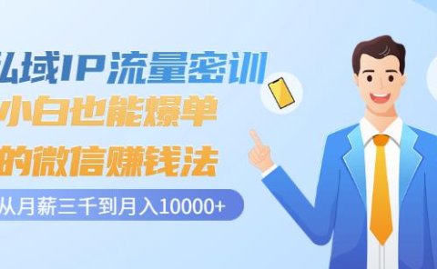 私域IP流量密训：小白也能爆单的微信赚钱法，从月薪三千到月入10000+
