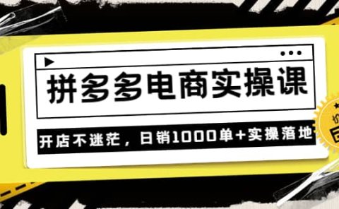 《拼多多电商实操课》开店不迷茫，日销1000单+实操落地（价值299元）