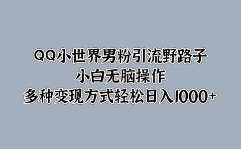 QQ小世界男粉引流野路子，小白无脑操作，多种变现方式轻松日入1000+