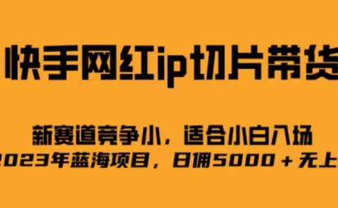 快手网红ip切片新赛道,竞争小事,适合小白 2023蓝海项目