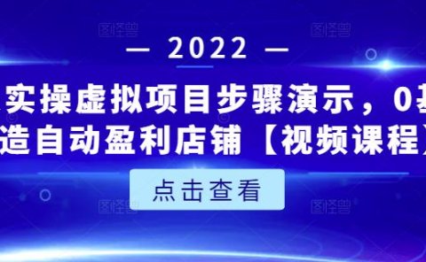 新人实操虚拟项目步骤演示，0基础打造自动盈利店铺【视频课程】