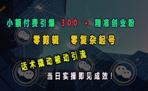 小额付费引爆 300 + 精准创业粉，零剪辑、零复杂起号，话术撬动被动引流，当日实操即见成效！