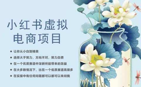 小红书虚拟电商从0到1,让你从小白到精英(20节实操课程)