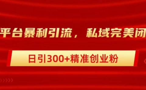 跨平台暴力引流，私域完美闭环，日引300+精准创业粉