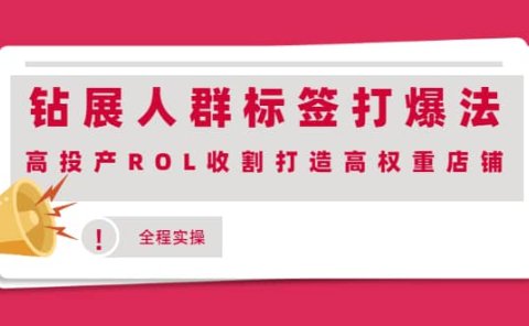 钻展人群标签打爆法,高投产ROL收割打造高权重店铺(全程实操)