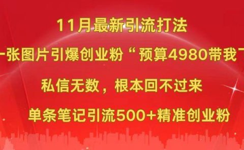 小红书11月最新图片打法，一张图片引爆创业粉“预算4980带我飞”，私信无数，根本回不过来，单条笔记引流500+精准创业粉