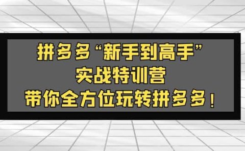 拼多多“新手到高手”实战特训营：带你全方位玩转拼多多