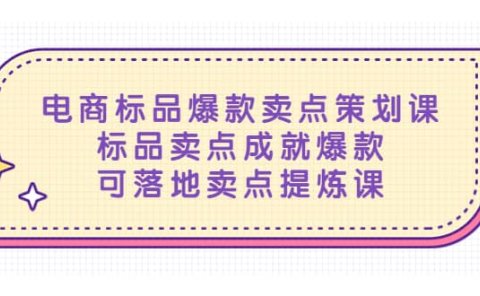 电商标品爆款卖点策划课，标品卖点成就爆款，可落地卖点提炼课