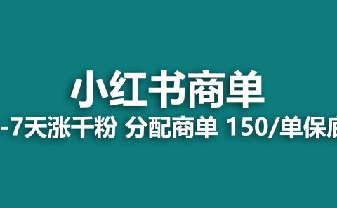 2023最强蓝海项目,小红书商单项目,没有之一