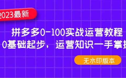 2023拼多多0-100实战运营教程，0基础起步，运营知识一手掌握（无水印）