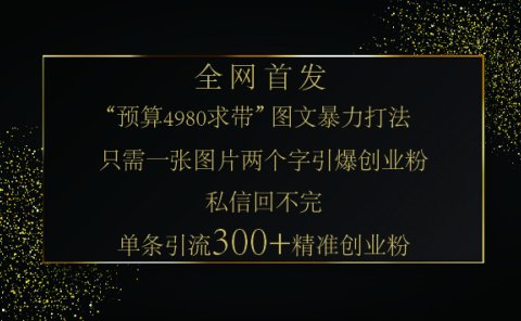 小红书，“预算 4980 带我飞” 的神奇图片引流法，堪称涨粉核武器！只需一张图，就能单条笔记凭借此方法，轻松引流 300 + 精准创业粉！
