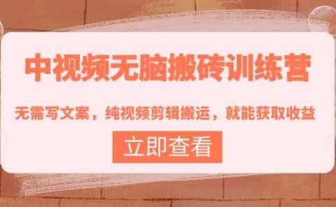中视频无脑搬砖训练营：无需写文案，纯视频剪辑搬运，就能获取收益