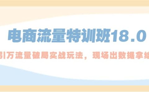 电商流量特训班18.0，直引万流量破局实操玩法，现场出数据拿结果