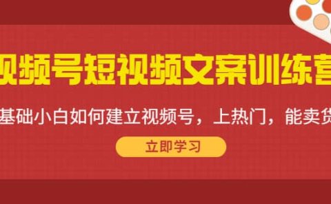 视频号短视频文案训练营:0基础小白如何建立视频号,上热门,能卖货!
