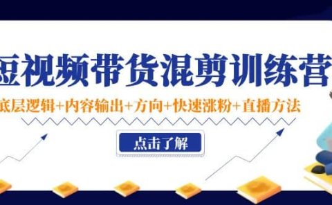 短视频带货混剪训练营：底层逻辑+内容输出+方向+快速涨粉+直播方法！