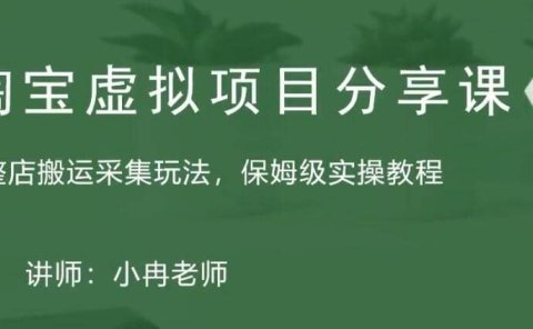淘宝虚拟整店搬运采集玩法分享课：整店搬运采集玩法，保姆级实操教程