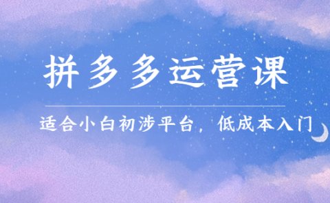 拼多多运营课，适合小白初涉平台，低成本入门