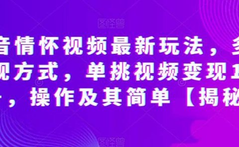 抖音情怀视频最新玩法,多种变现方式,单挑视频变现1000+,操作及其简单【揭秘】