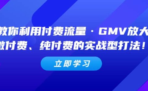 教你利用付费流量·GMV放大,微付费、纯付费的实战型打法