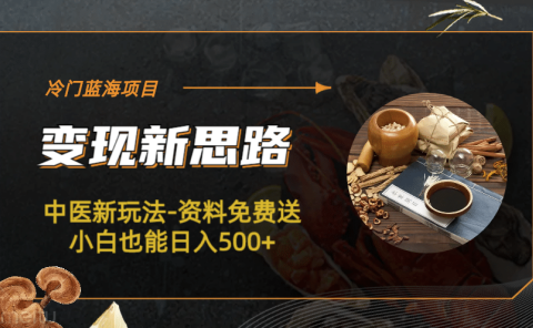 冷门蓝海项目-中医新玩法-冷门蓝海项目-中医新玩法-资料免费送小白也能日入500+500+
