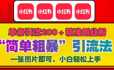 12底最新小红书单日引流200+创业粉，“简单粗暴”引流法，一张图片即可操作，小白轻松上手，私信根本回不完
