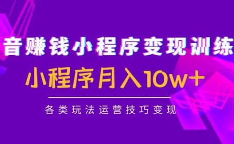 抖音小程序变现训练营：小程序各类玩法运营技巧变现