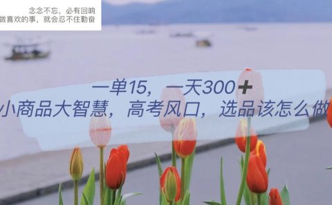 一单15,一天300+,小商品大智慧,高考风口,选品该怎么布局