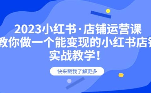 2023小红书·店铺运营课，教你做一个能变现的小红书店铺，20节-实战教学