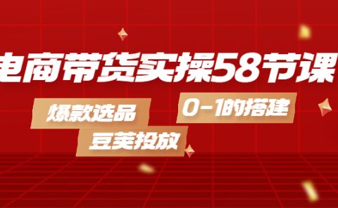 电商带货实操58节课，爆款选品，豆荚投放，0-1的搭建