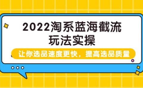 2022淘系蓝海截流玩法实操：让你选品速度更快，提高选品质量（价值599）