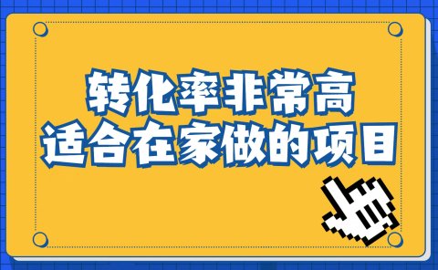 小红书虚拟电商项目:从小白到精英(视频课程+交付手册)