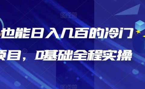 新手也能日入几百的冷门DIY项目,0基础全程实操【揭秘】
