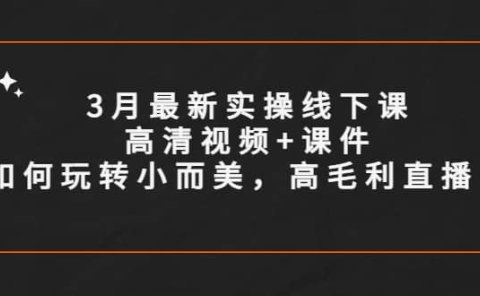 3月最新实操线下课高清视频+课件，如何玩转小而美，高毛利直播间