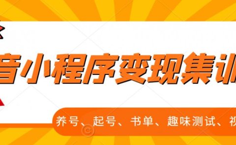 抖音小程序变现集训课，养号、起号、书单、趣味测试、视频剪辑，全套流程