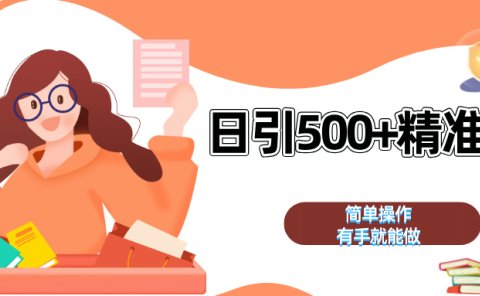 日引500+精准粉  简单操作 有手就能做