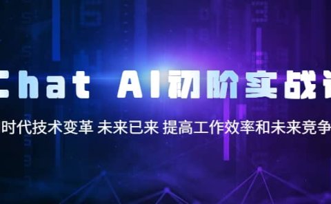 Chat AI初阶实战课,AI时代技术变革 未来已来 提高工作效率和未来竞争力