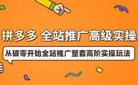 拼多多全站推广高级实操：从破零开始全站推广整套高阶实操玩法