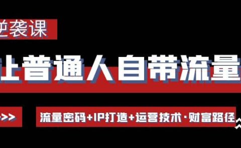 让普通人自带流量的逆袭课：流量密码+IP打造+运营技术·财富路径