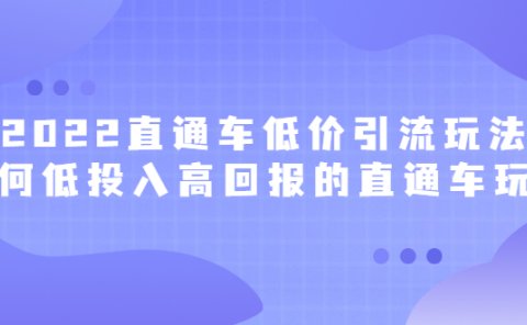 2022直通车低价引流玩法，教大家如何低投入高回报的直通车玩法