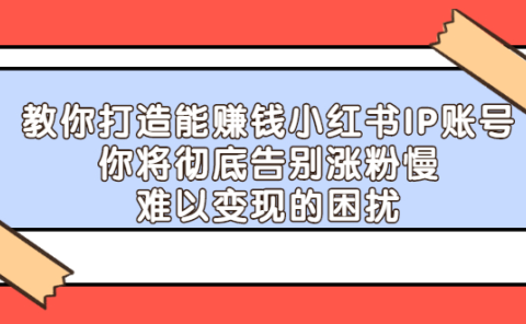 教你打造能赚钱小红书IP账号，了解透彻小红书的真正玩法